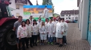 Apfelblütenfestumzug 2015_2