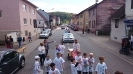 Apfelblütenfestumzug 2015_3
