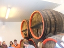 Brauerei_Glaab_050211